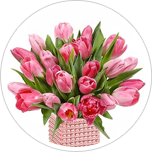 Tulipas